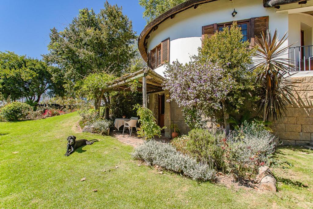 Picardie Guest Farm Paarl Exteriör bild
